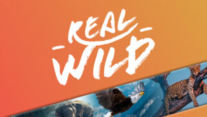 Watch Real Wild Tv