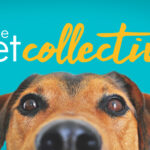 Watch The Pet Collective Tv